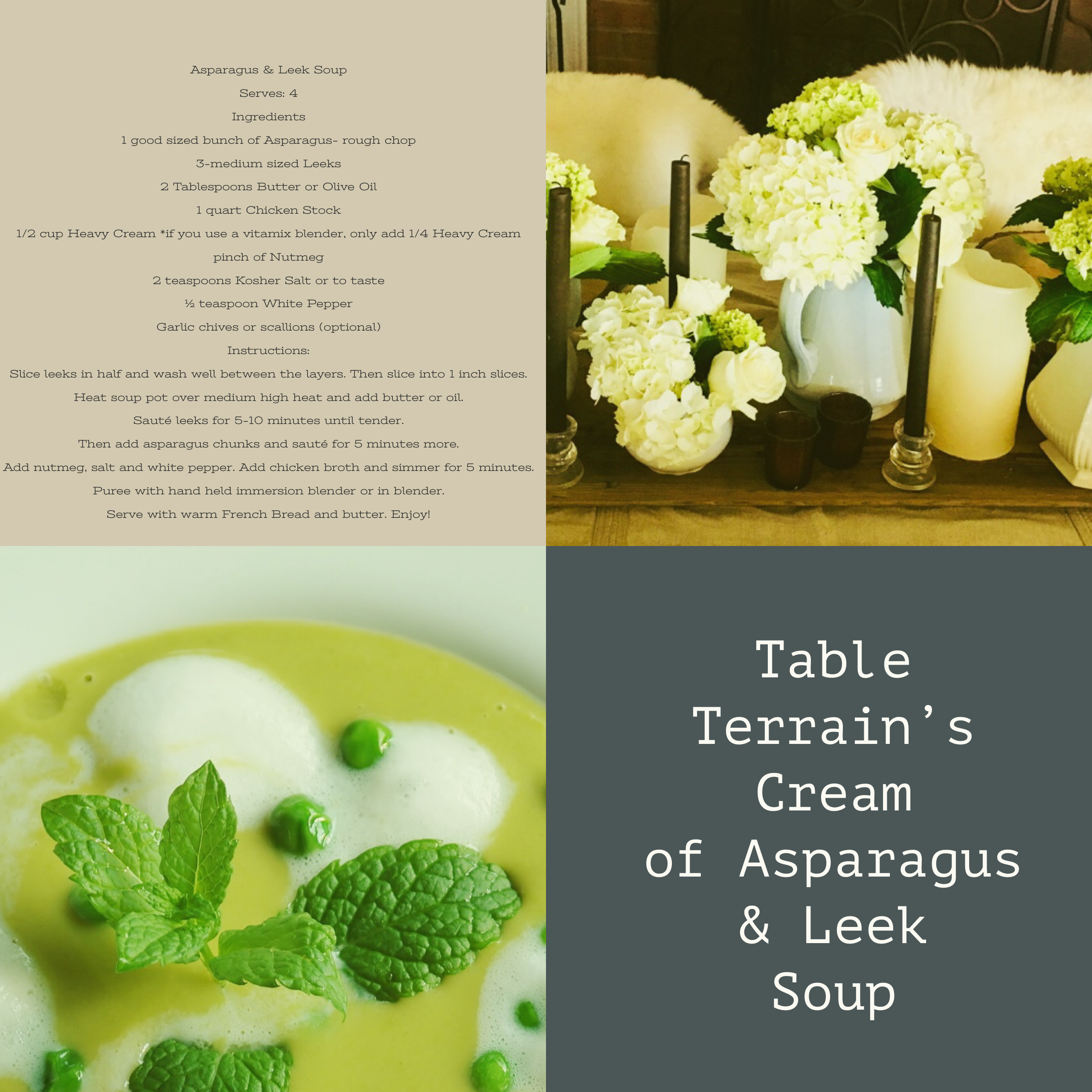 Cream of Asparagus & Leek Soup – Table Terrain