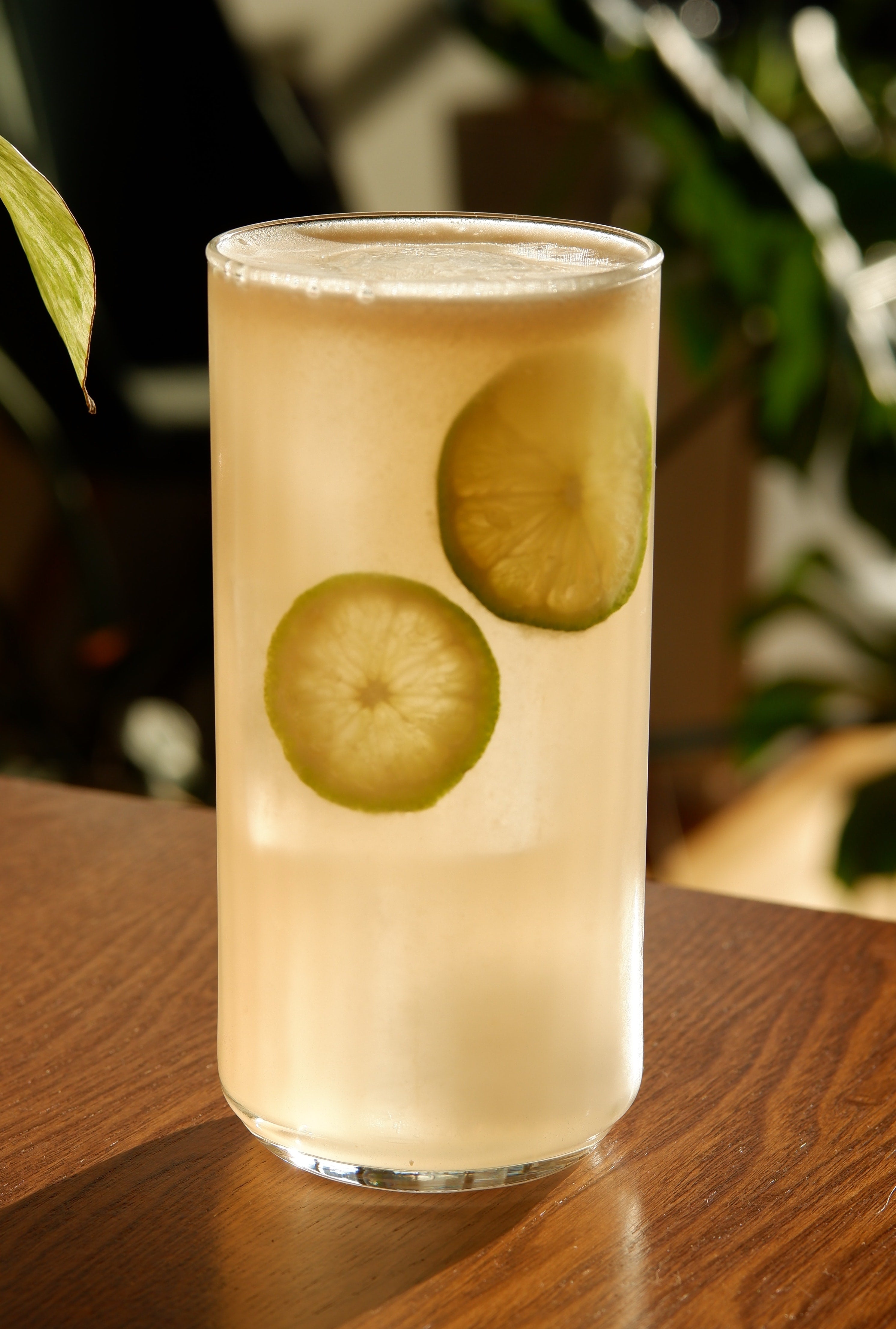 Paloma – Table Terrain
