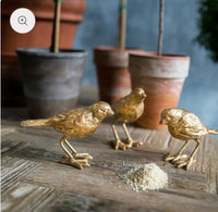Brushed Gold Bird Table Accents (Set of 3)