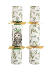 Crackers, Mr. Owl (Box of 6)