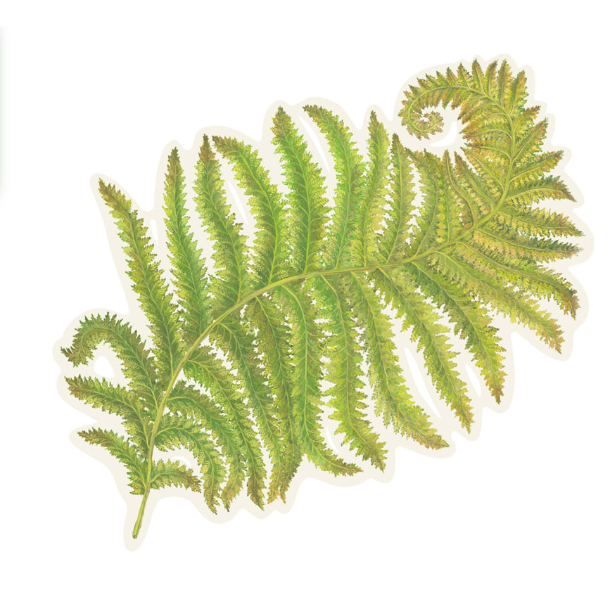 Placemats, Fern (Set of 12)
