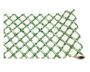 Runner, Green Lattice