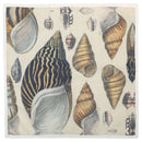 Napkins, Conch (Set of 4)