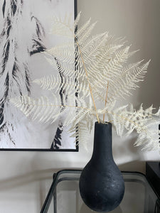 Dried off white fern leaves