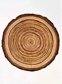 Placemats, Log Paper (Set of 12)