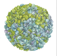 Placemats, Blue Hydrangea (Set of 12)