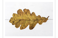 Place cards, Oak Leaf (Set of 12)