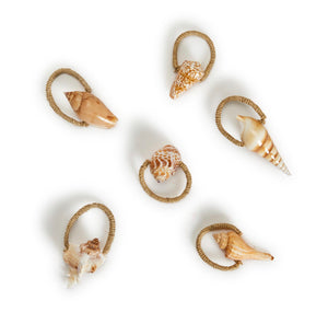 Napkin Ring, Shell (Set of 4)