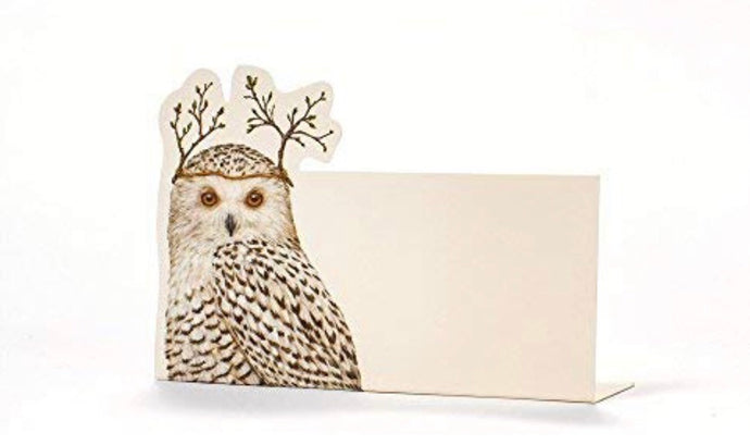 Owl Place-cards | Table Terrain January tablescapes, men's table decorations, kitchen table arrangements