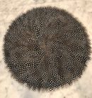 Guinea feather placemat with natural black-and-white pattern